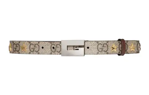 GUCCI Canvas Belts Women's Brown Width 3cm