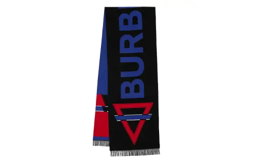 Burberry Wool And Silk Knit Scarves Unisex Multicolor