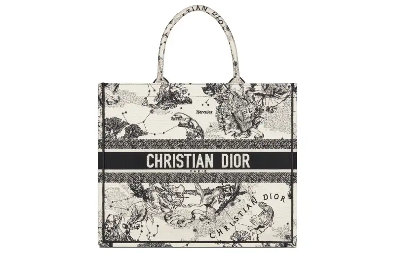 DIOR BookTote Embroidery Tote Bag, Shopping Bag, Handbag Large Women's Beige/Black