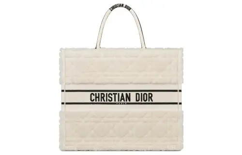DIOR BookTote Handbags