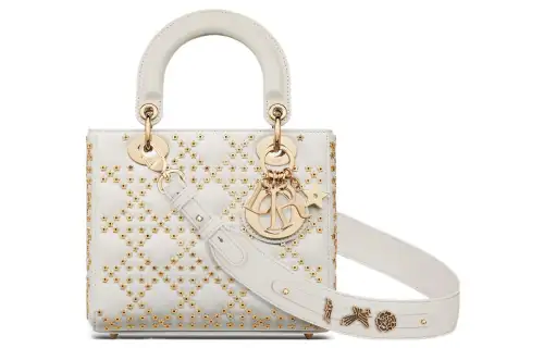 DIOR Handbags
