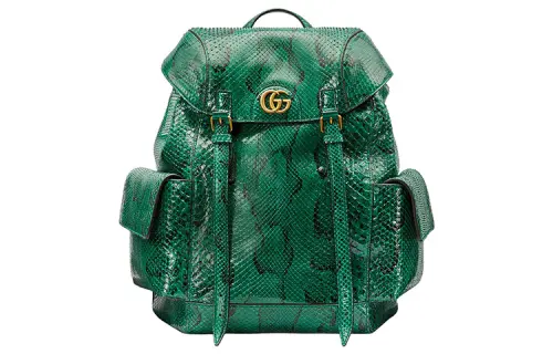 GUCCI Python Skin Backpack Regular Men's Green