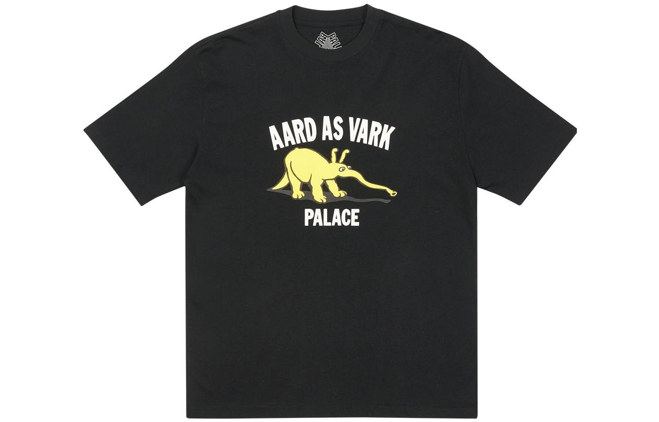 Мужская футболка Palace PALACE T (разноцветный)