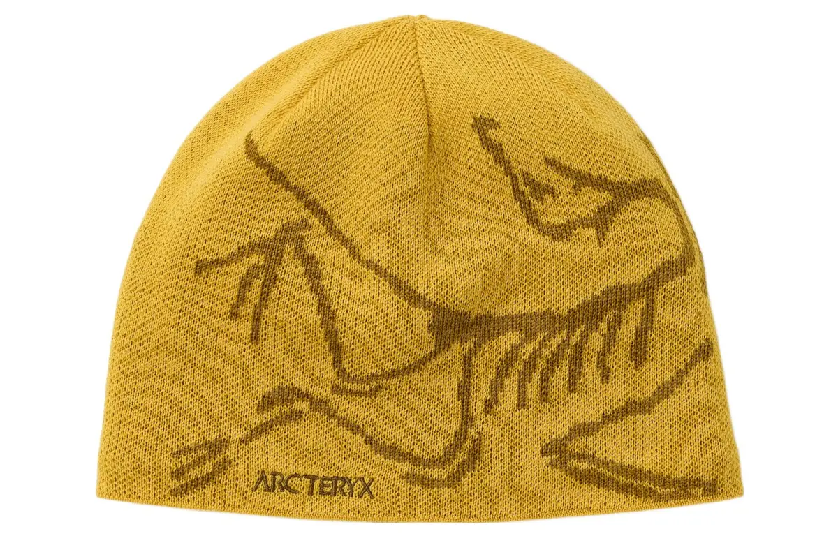 Arc'teryx Polyester Wool Beanies Unisex