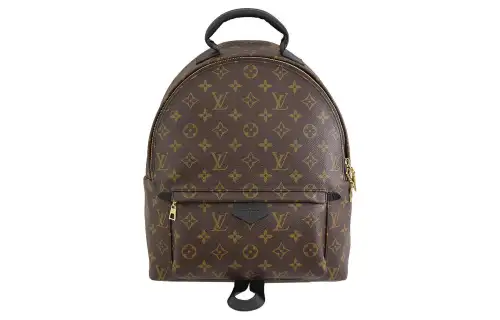 LOUIS VUITTON Palm Springs Canvas With Leather Mini Backpack Medium Women's Dark Coffee