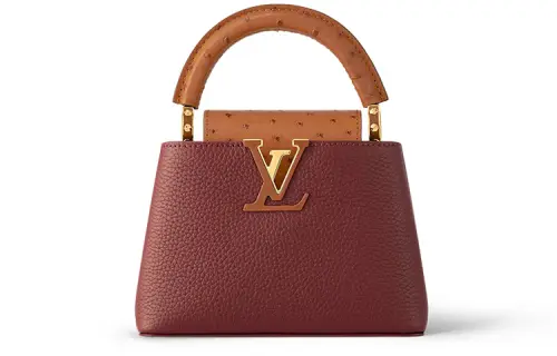 LOUIS VUITTON Capucines Handbags