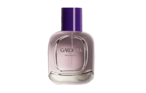 ZARA GARDENIA Gardenia