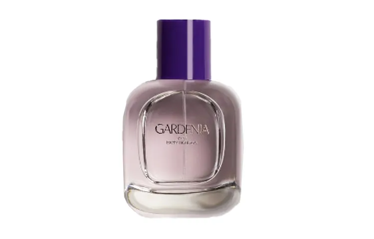 ZARA GARDENIA Gardenia