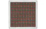 GUCCI Scarves Men's Green