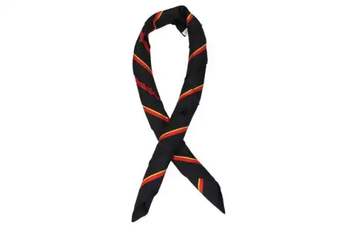 Burberry Scarves Women's Black