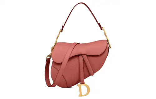 DIOR Saddle Handbags