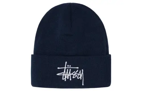 Stussy Big Basic Thinsulate Beanie