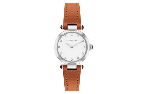 COACH CARY Wrist Watches Quartz Movement Leather Strap 28mm White Dial Women's Watch