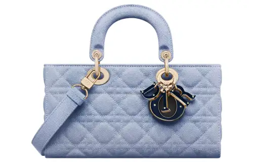 DIOR Lady D Joy Handbags