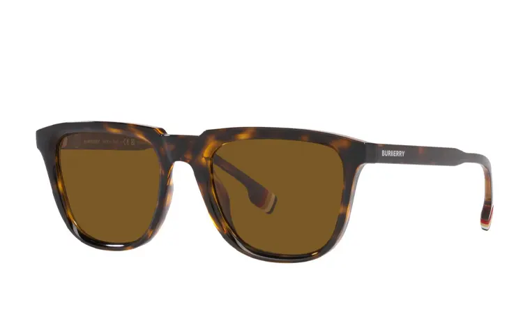 Burberry Sunglasses Men's