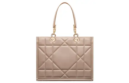 DIOR Handbags
