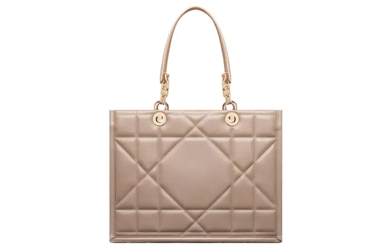 DIOR Handbags