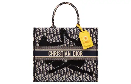 DIOR BookTote Handbags