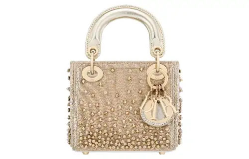 DIOR Lady Dior Handbags