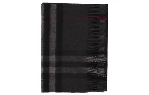 Burberry Checked Fringed-Edge Scarf