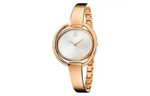 CALVIN KLEIN Wrist Watches Quartz Movement Stainless Steel Strap Silver Dial Women's 30m Waterproof