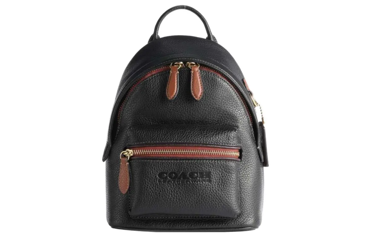 COACH Charter Leather Backpack Small Unisex Brown & Black