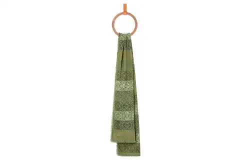 LOEWE Knit Scarves Women's Green