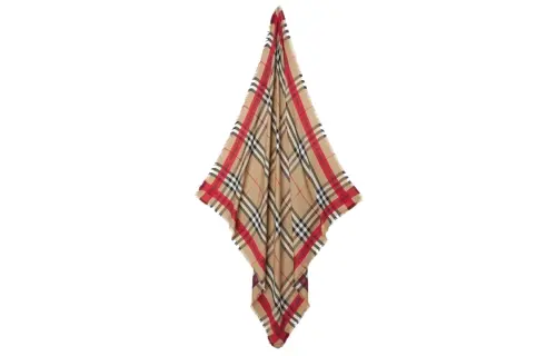 Burberry Scarves Men's Brown