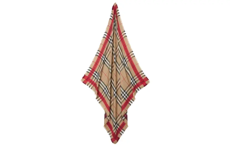 Burberry Scarves Men's Brown