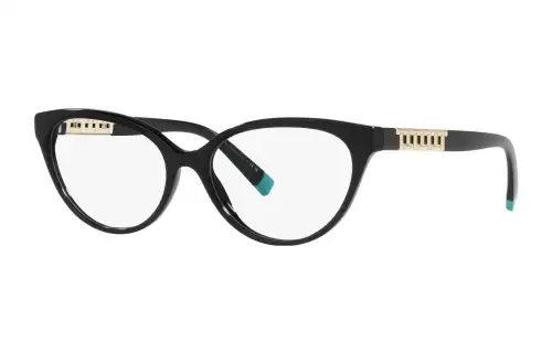 TIFFANY & CO. Cat-Eye Frame Glasses