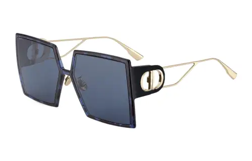 DIOR Plate And Metal Frame Irregular Shape Sunglass Women's