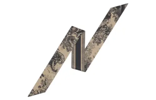 DIOR Scarves Women's Brown