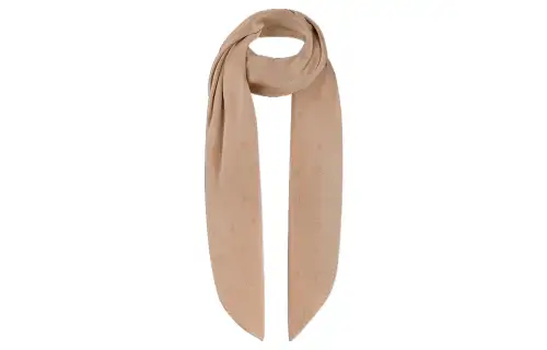 LOUIS VUITTON Lv Spotlight Stole