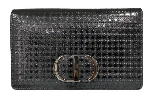 DIOR 30 Montaigne Fanny Packs