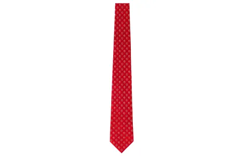 LOUIS VUITTON Vivian Series Tie Men's Red