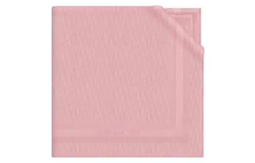 DIOR Scarves Women's Pink