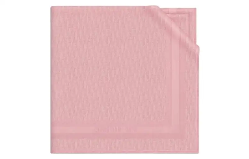 DIOR Scarves Women's Pink