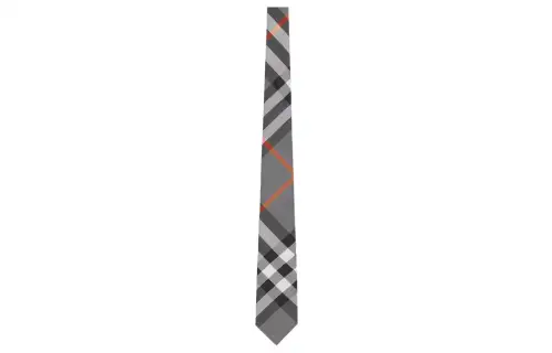 Burberry Ties Men's Gray