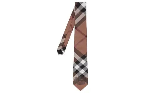 Burberry Ties Men's Brown