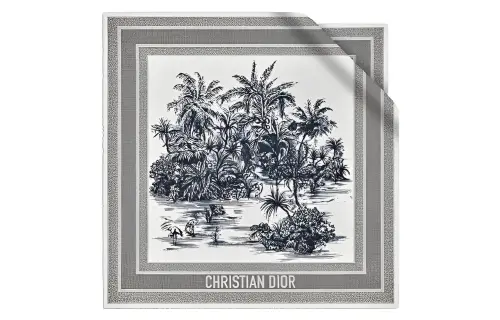 DIOR Scarves Women's Gray