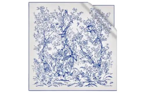 DIOR Scarves Women's Blue/White