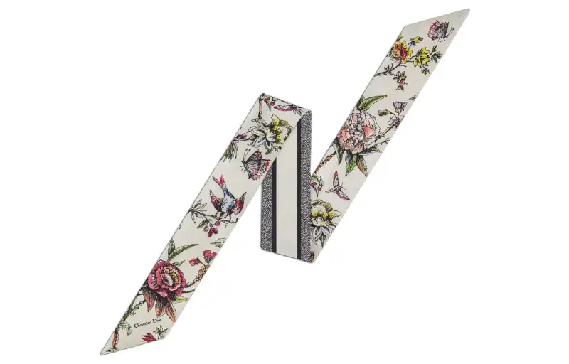 DIOR Scarves Women's Multicolor