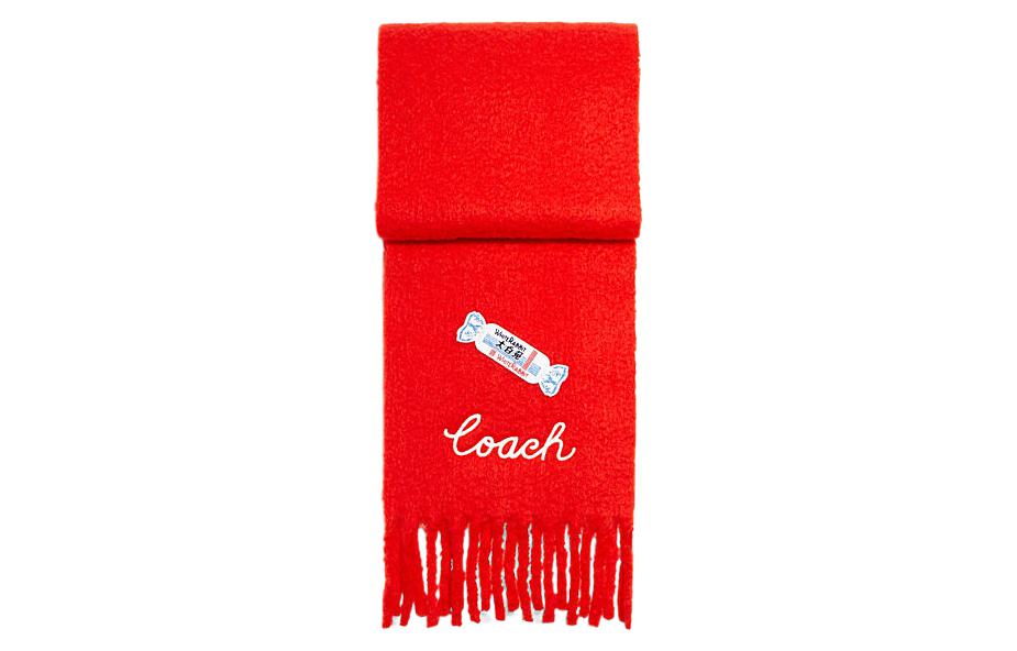 COACH Knit Scarves Men's Red