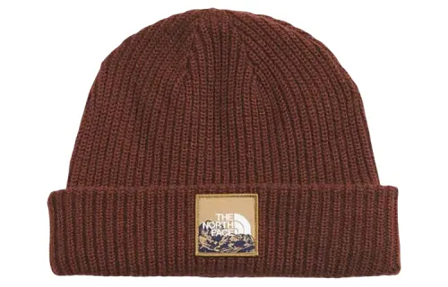 THE NORTH FACE Beanies Men's Brown