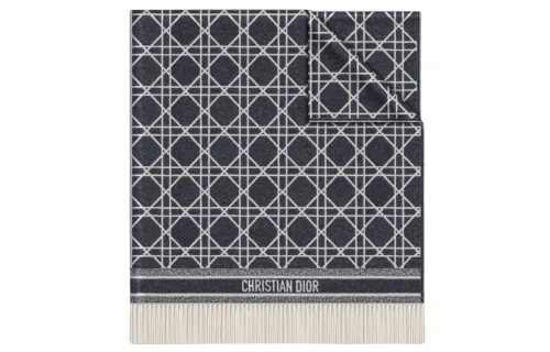 DIOR Patterned Frayed Edge Scarf