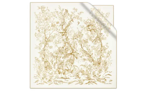 DIOR Scarves Women's Ecru