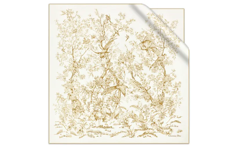 DIOR Scarves Women's Ecru
