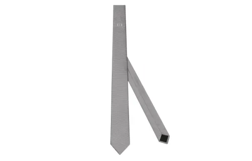 DIOR Ties Men's Gray