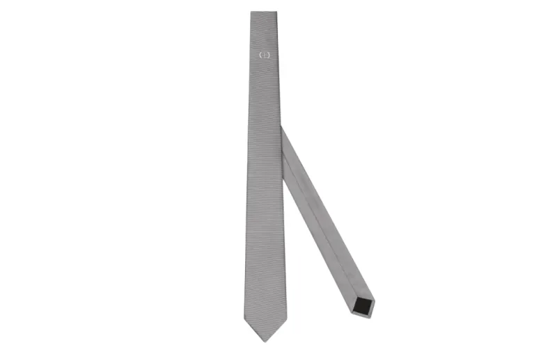 DIOR Ties Men's Gray