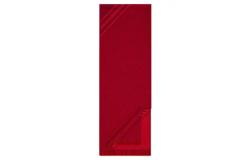 DIOR Knit Scarves Men's